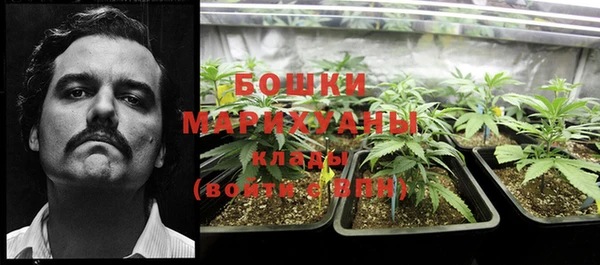 крисы Арсеньев