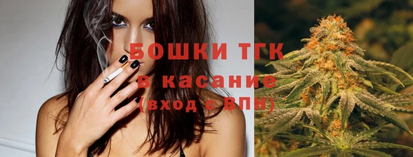 крисы Арсеньев