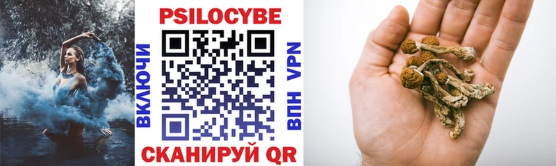 Псилоцибиновые грибы Psilocybe Мурино